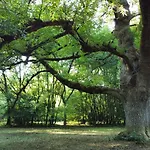 Le Moulin Samsara Country house *