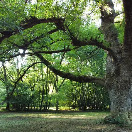 Le Moulin Samsara 컨트리하우스 *